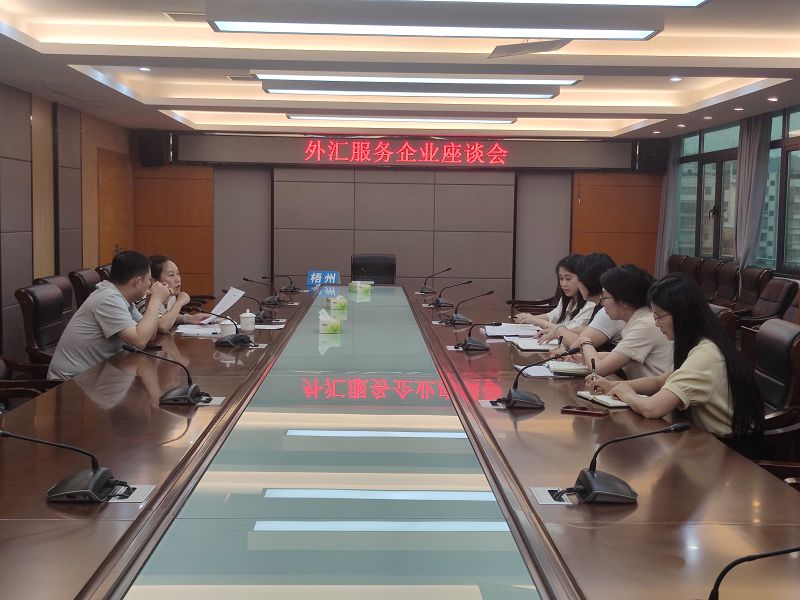 互联网-梧州分局-国家外汇管理局梧州市分局召开外汇服务企业座谈会-20250806.jpg