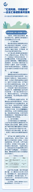 6.汇控风险性行稳致远第六期-《企业汇率风险管理指引》篇三.jpg