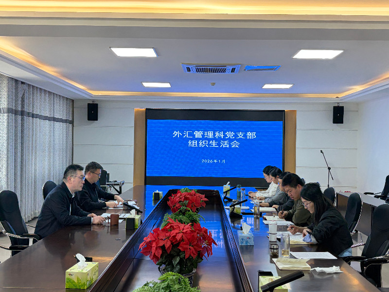 c8c28cb21f9c4d85b95b385ef23956a4.jpg 外汇管理科党支部组织生活会.jpg