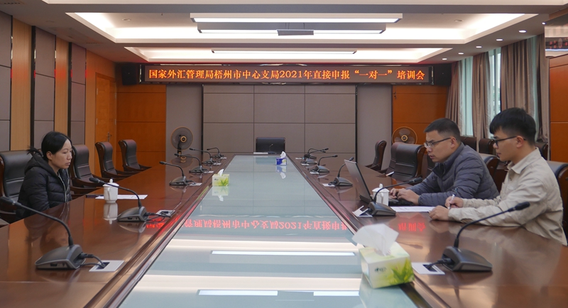互联网-梧州支局-国家外汇管理局梧州市中心支局开展直接申报“一对一”培训活动-20211109.jpg