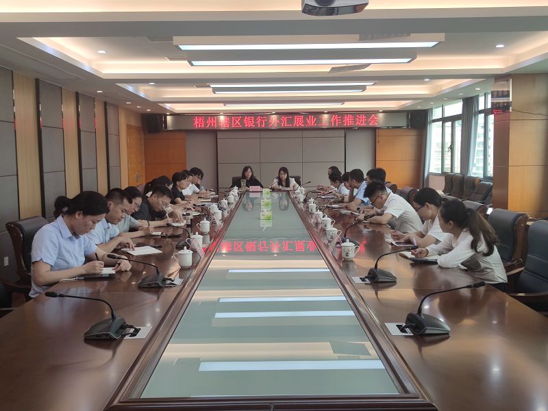 互联网-梧州分局-国家外汇管理局梧州市分局召开银行外汇展业工作推进会-20250704.jpg