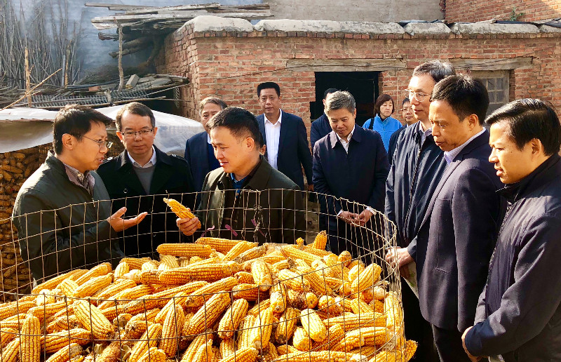 6740a09f9f6049b481da4df2fd58b58a.jpg 圖片1:國務院扶貧開發領導小組副組長,人民銀行黨委委員、副行長,國家外匯管理局黨組書記、局長潘功勝一行到河北省巨鹿縣調研定點扶貧工作.jpg